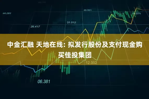 中金汇融 天地在线: 拟发行股份及支付现金购买佳投集团