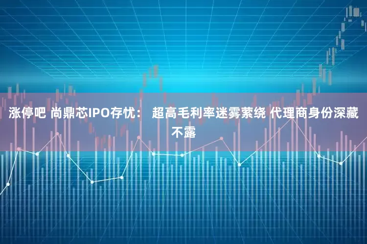 涨停吧 尚鼎芯IPO存忧： 超高毛利率迷雾萦绕 代理商身份深藏不露