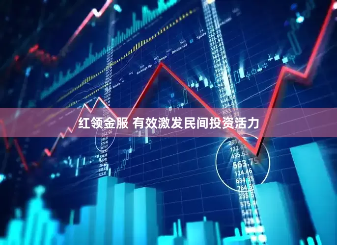 红领金服 有效激发民间投资活力